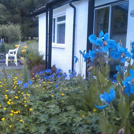 Dalkell Cottages Tyndrum Zewnętrze zdjęcie