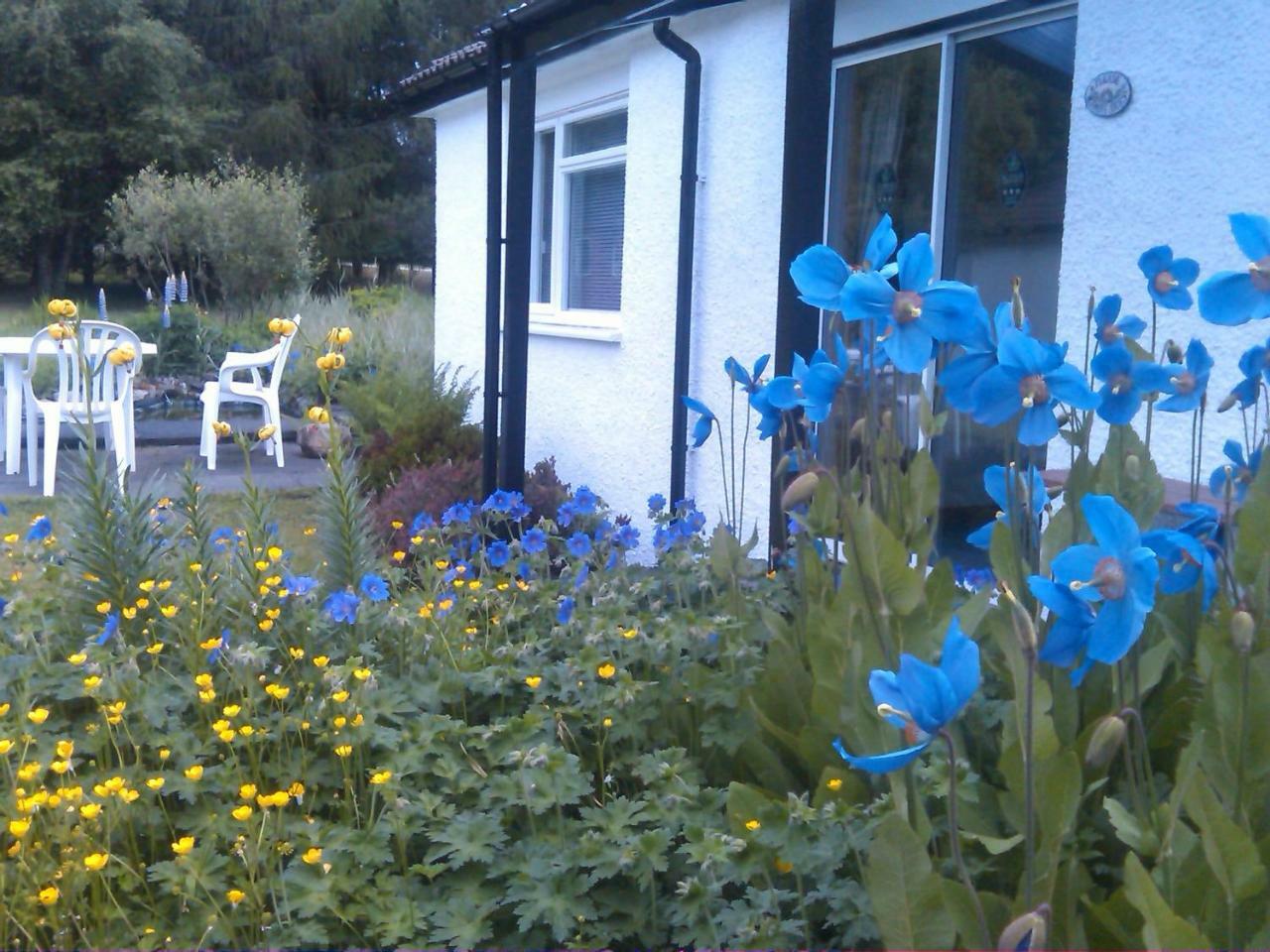 Dalkell Cottages Tyndrum Zewnętrze zdjęcie